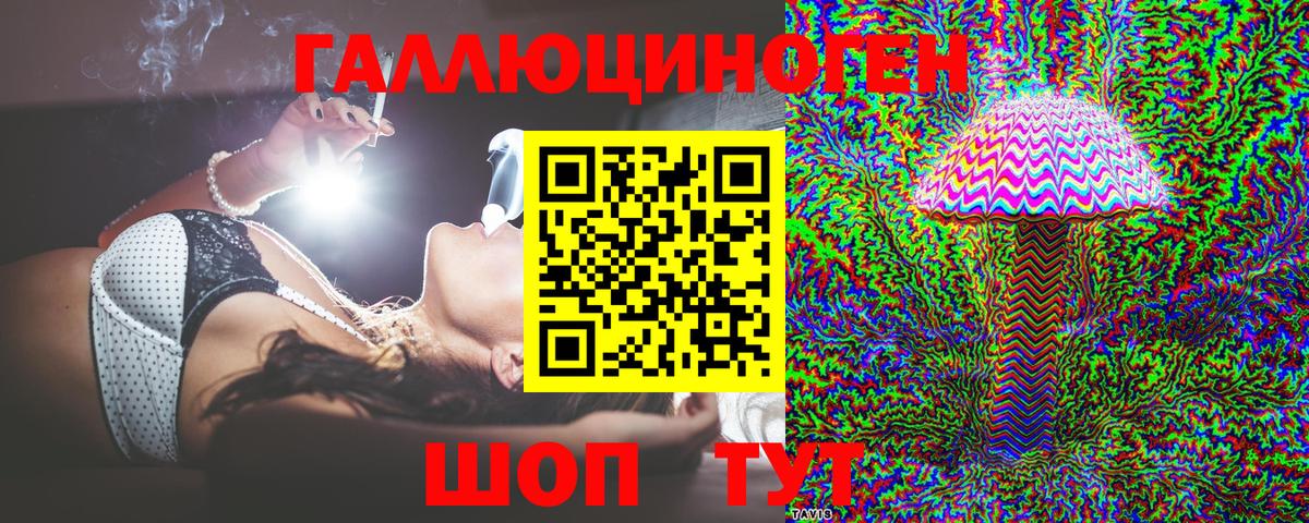 Галлюциногенные грибы GOLDEN TEACHER  Вход с VPN  где купить наркоту  Ейск 